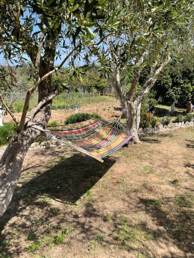 Antigone'S Garden Villa Halikounas Luaran gambar